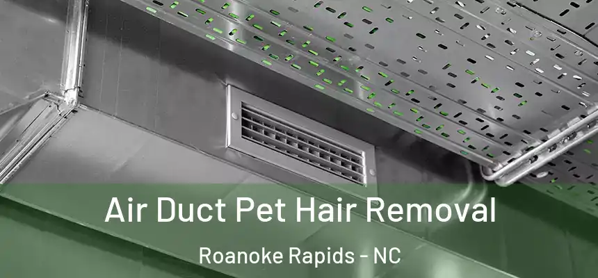  Air Duct Pet Hair Removal Roanoke Rapids - NC