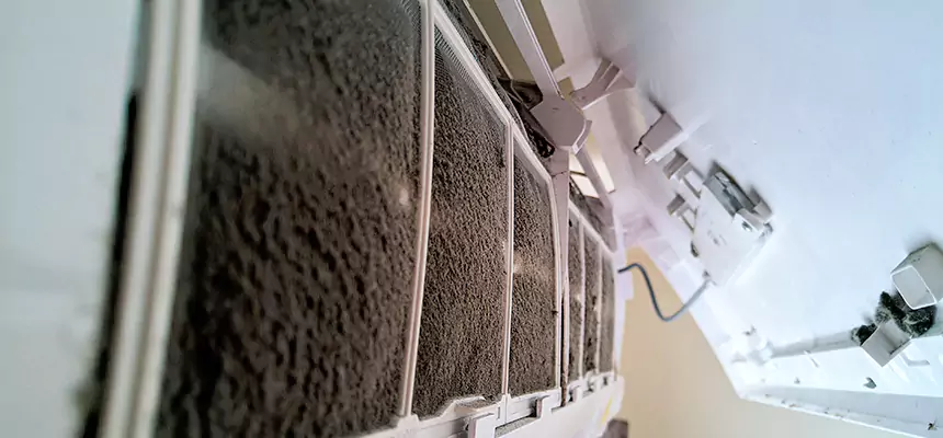 Preventive Air Duct Bacteria Removal in Roanoke Rapids