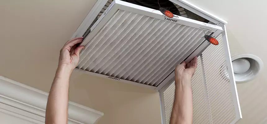 Preventive Cockroach-Proofing for Ducts in Roanoke Rapids
