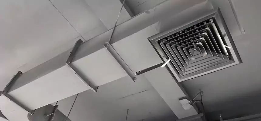 Restorative Allergy Relief Vent Cleaning – Coil, Blower & Housing Detail in Roanoke Rapids