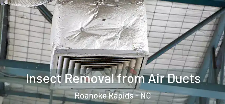  Insect Removal from Air Ducts Roanoke Rapids - NC