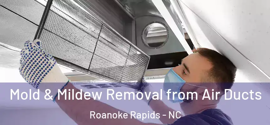  Mold & Mildew Removal from Air Ducts Roanoke Rapids - NC