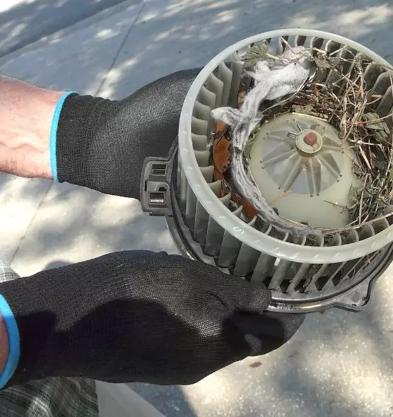 About Air Duct Rat Removal in Roanoke Rapids, NC