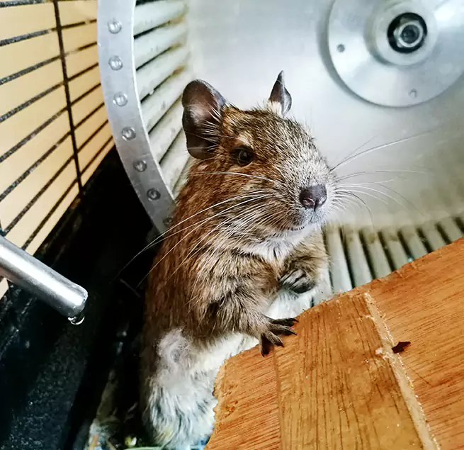 Why Homeowners & Businesses Trust Us Roanoke Rapids, NC?