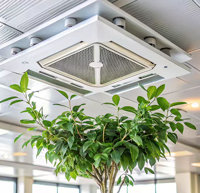 Why Homeowners & Businesses Trust Us in Roanoke Rapids, NC?