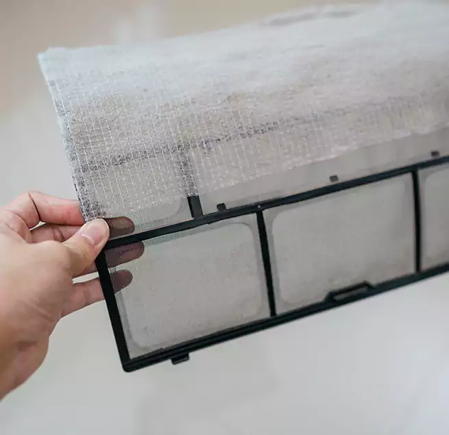 Why Homeowners & Businesses Trust Us in Roanoke Rapids, NC?