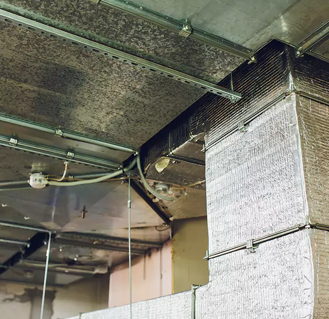 Why Homeowners & Businesses Trust Us in Roanoke Rapids, NC?