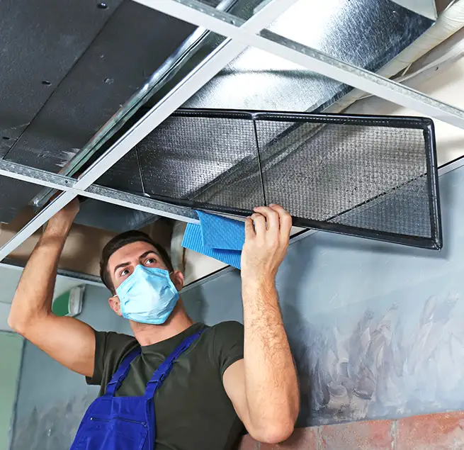 Why Homeowners & Businesses Trust Us in Roanoke Rapids, NC?